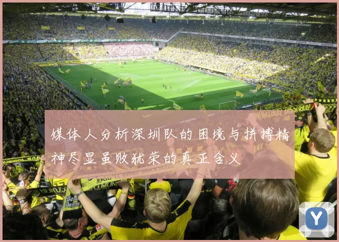 媒体人分析深圳队的困境与拼搏精神尽显虽败犹荣的真正含义