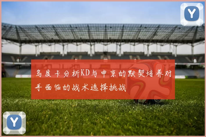 乌度卡分析KD与申京的默契培养对手面临的战术选择挑战